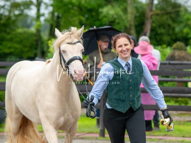 IG Welsh Schau Reitklassen 8