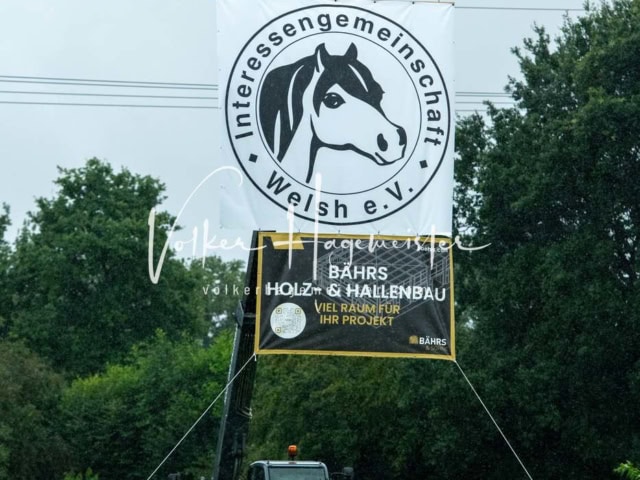 IG Welsh Regionalschau Impressionen 4