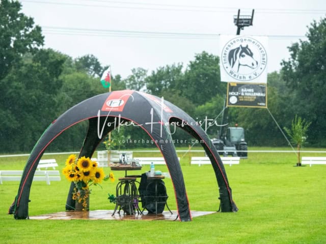 IG Welsh Regionalschau Impressionen 5