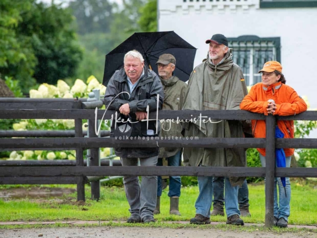 IG Welsh Schau Reitklassen 11