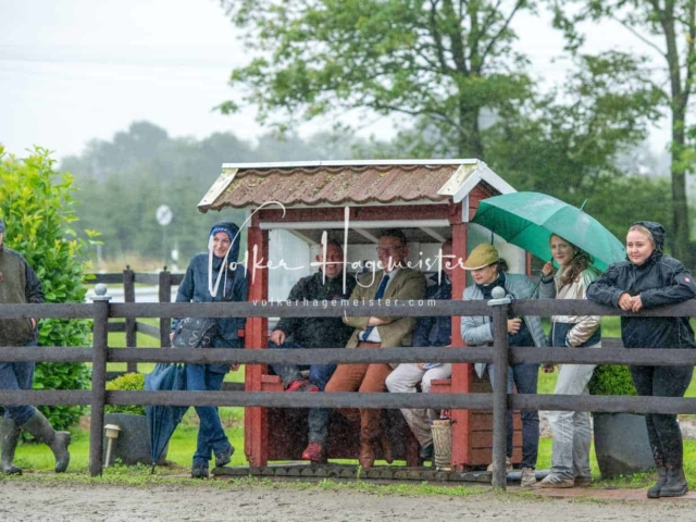 IG Welsh Schau Reitklassen 13