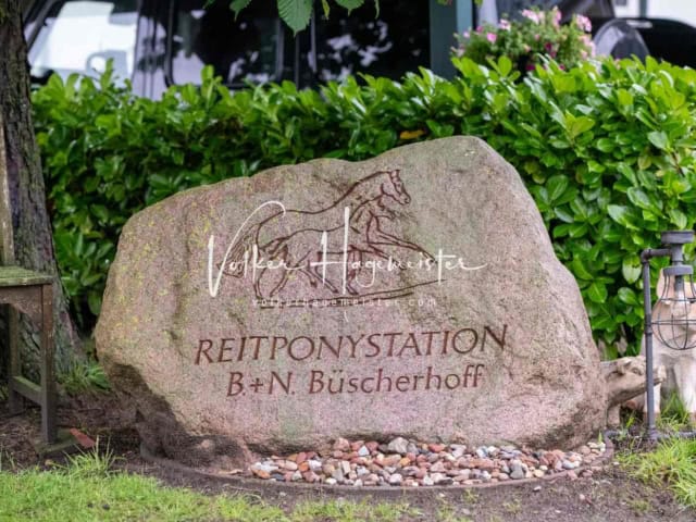 IG Welsh Regionalschau Impressionen 10