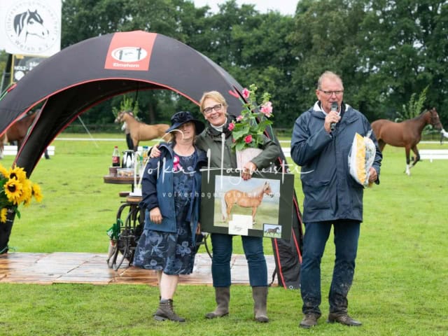 IG Welsh Regionalschau Impressionen 18