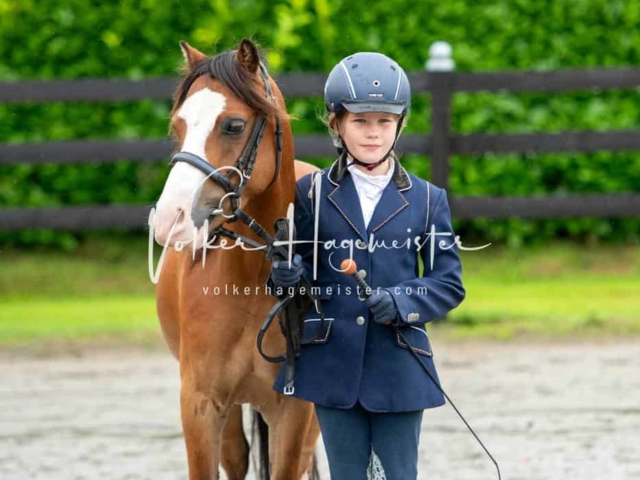 IG Welsh Schau Reitklassen 20