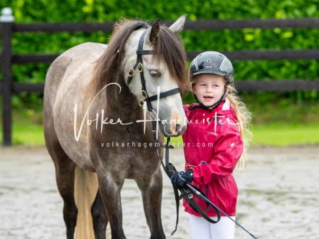 IG Welsh Schau Reitklassen 22