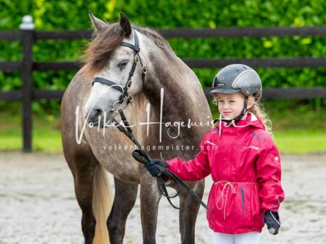 IG Welsh Schau Reitklassen 23