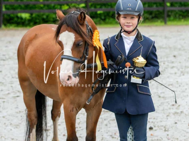 IG Welsh Schau Reitklassen 24