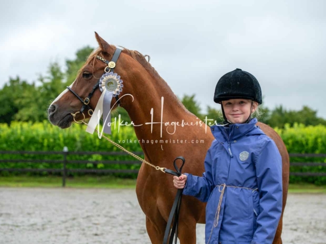 IG Welsh Schau Reitklassen 25