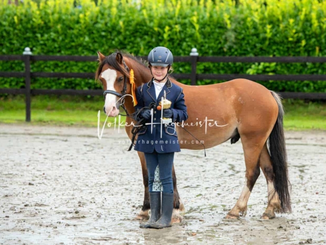 IG Welsh Schau Reitklassen 26