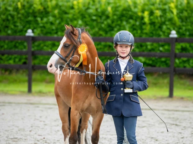 IG Welsh Schau Reitklassen 28