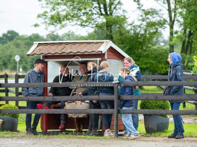 IG Welsh Schau Reitklassen 29