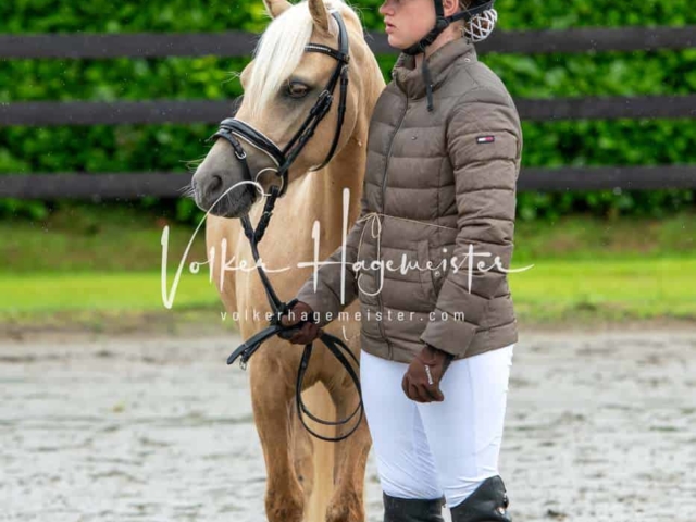 IG Welsh Schau Reitklassen 2