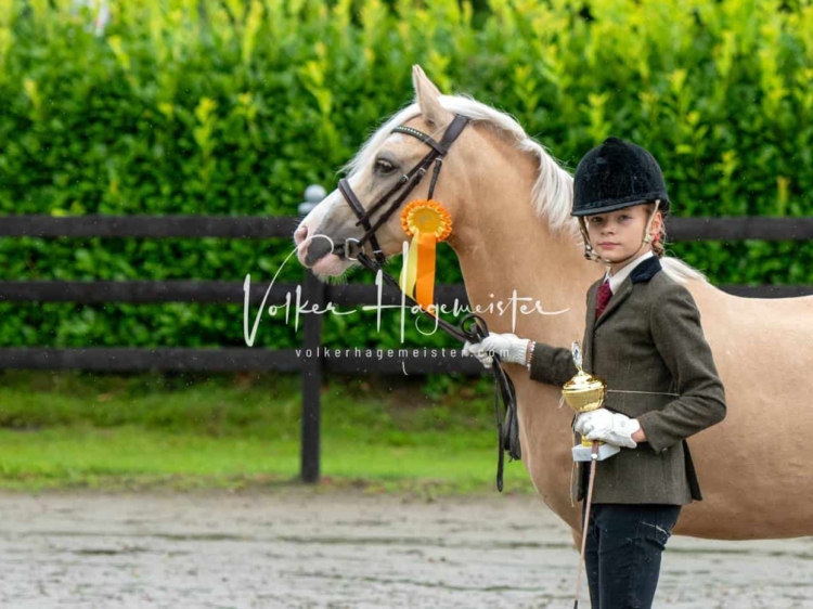 IG Welsh Schau Reitklassen