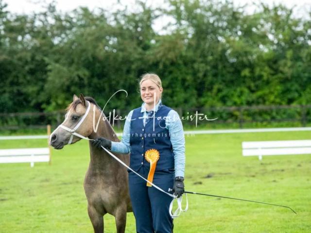IG Welsh Regionalschau Sekt. A 6