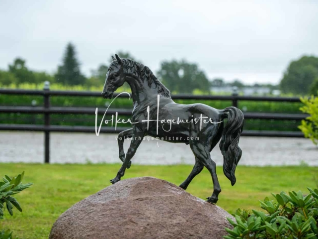 IG Welsh Schau Reitklassen 4