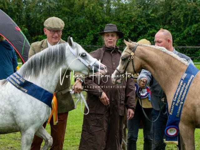 IG Welsh Regionalschau Sekt. B 5