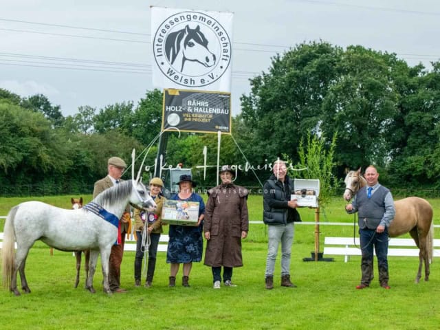 IG Welsh Regionalschau Sekt. B 7