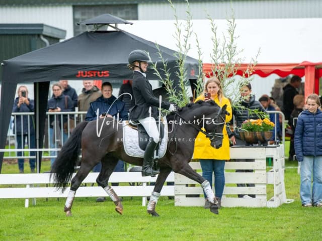 IG Welsh Regionalschau Schaubilder 7