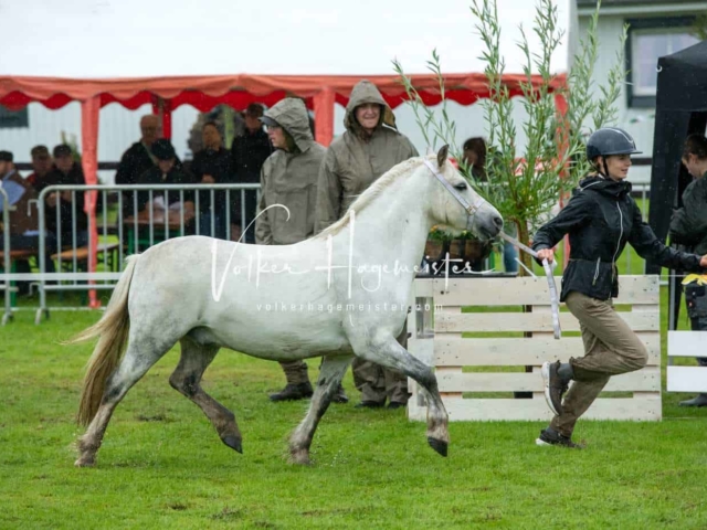 IG Welsh Regionalschau Sekt. A 30