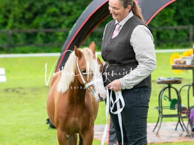 IG Welsh Regionalschau Sekt. A 8