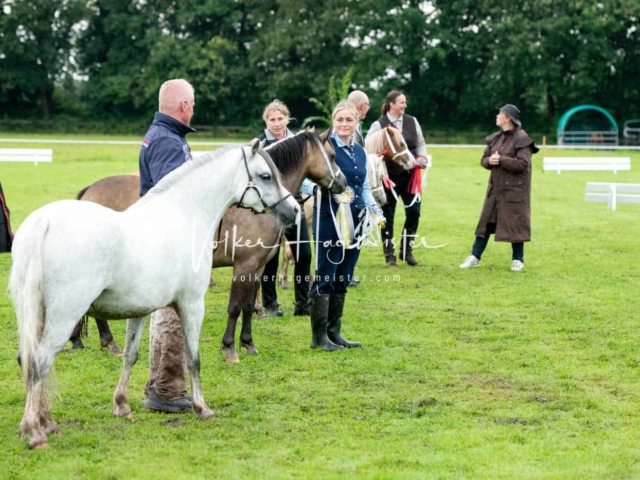 IG Welsh Regionalschau Sekt. A 25