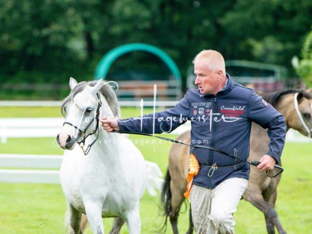 IG Welsh Regionalschau Sekt. A 27