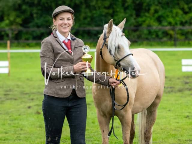 IG Welsh Regionalschau Sekt. B 2