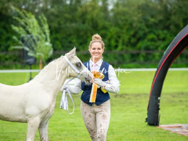 IG Welsh Regionalschau Sekt. D 26