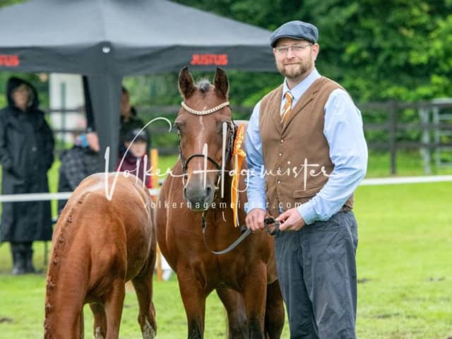 IG Welsh Regionalschau Sekt. Pb 4