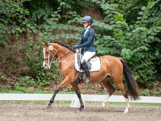 Landesponyturnier 3- und 4-Jährige 1