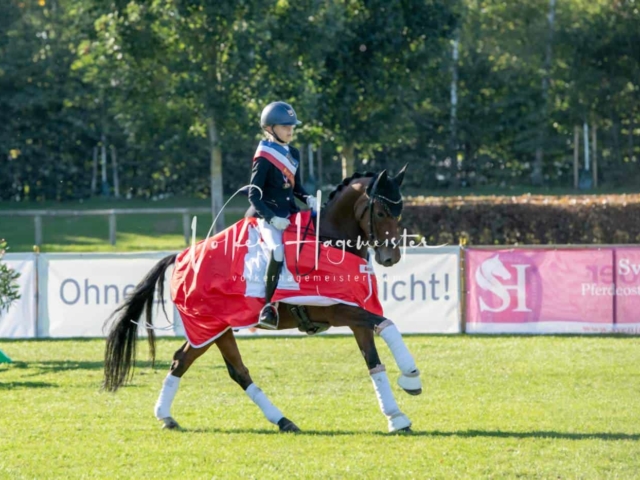 Landesponyturnier Sieger 10