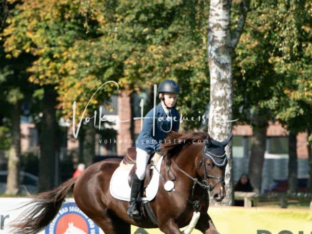 Landesponyturnier Sieger 12