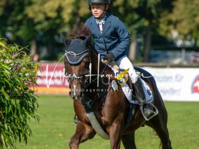 Landesponyturnier Sieger 13