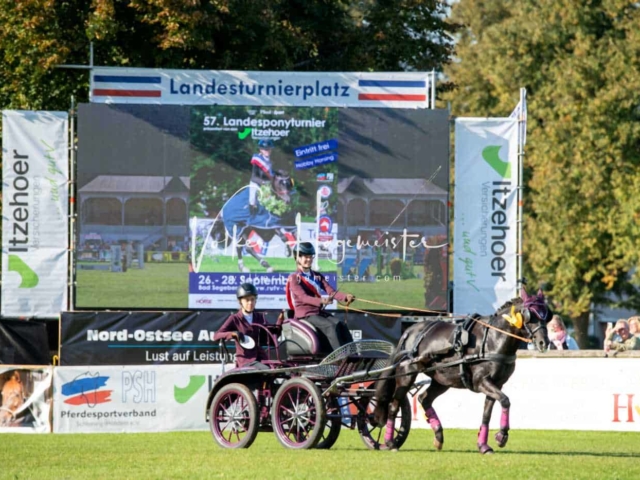 Landesponyturnier Sieger 16