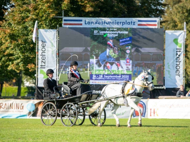 Landesponyturnier Sieger 17