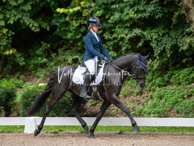 Landesponyturnier 3- und 4-Jährige 3