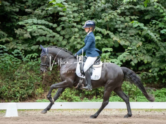 Landesponyturnier 3- und 4-Jährige 4