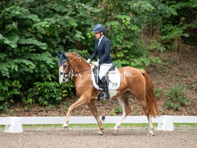 Landesponyturnier 3- und 4-Jährige 6