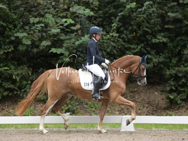 Landesponyturnier 3- und 4-Jährige 8