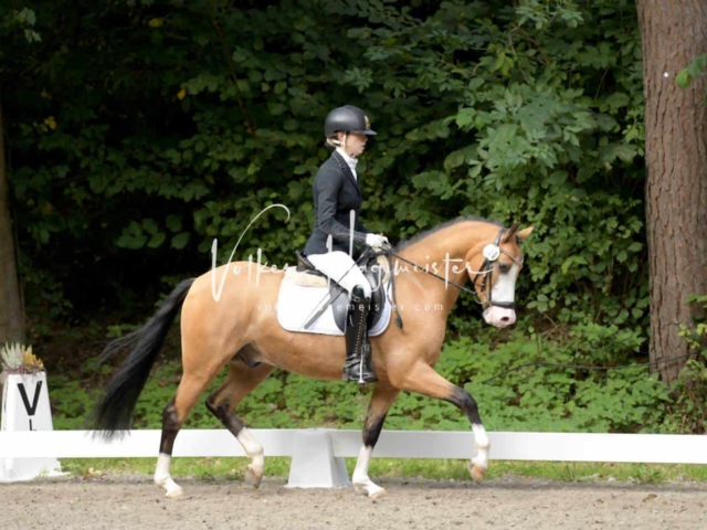 Landesponyturnier 3- und 4-Jährige 9