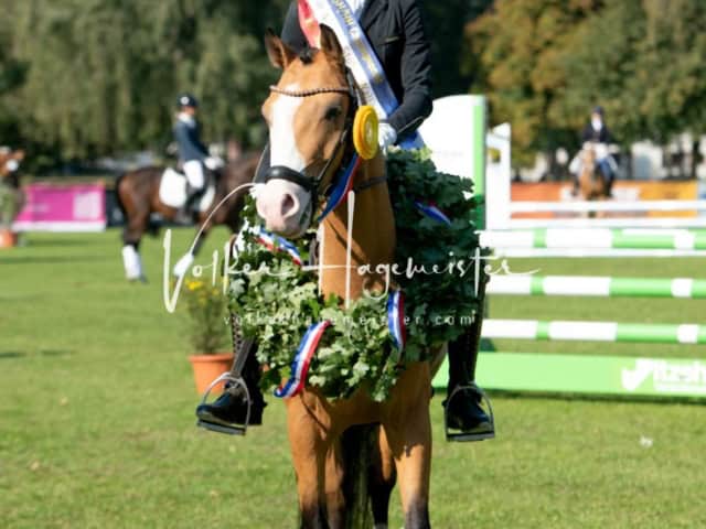 Landesponyturnier Sieger 25