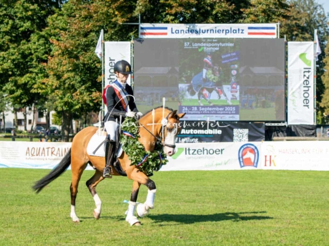Landesponyturnier 3- und 4-Jährige 14