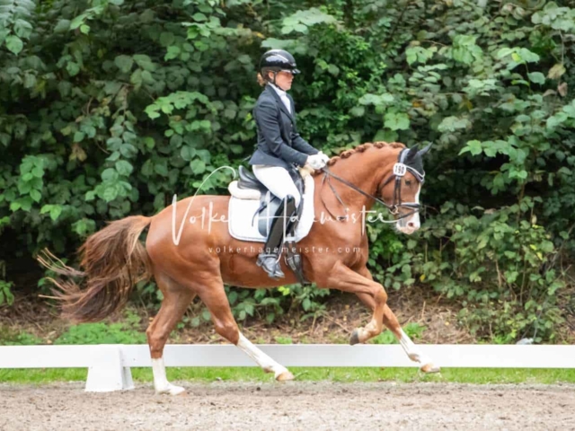 Landesponyturnier 3- und 4-Jährige 16