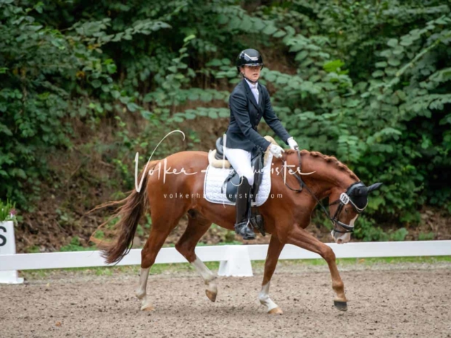 Landesponyturnier 3- und 4-Jährige 17