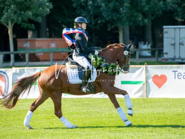 Landesponyturnier Sieger 1