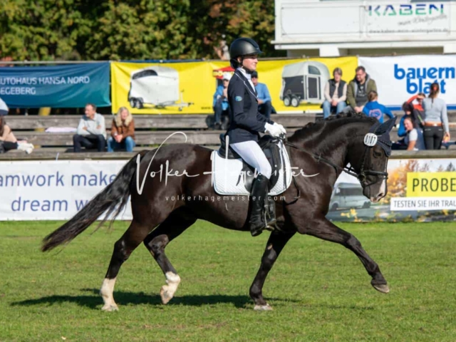 Landesponyturnier Sieger 3