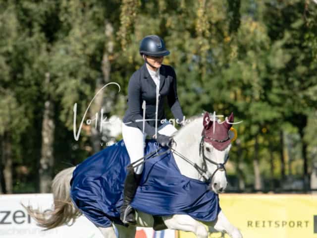 Landesponyturnier Sieger 4