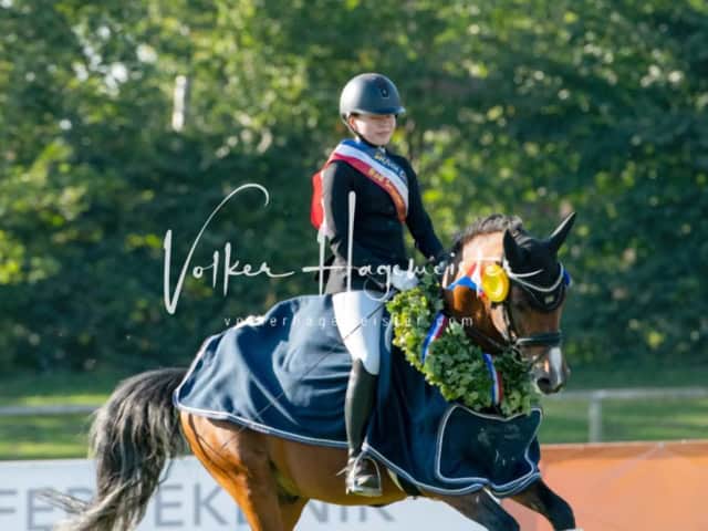 Landesponyturnier Sieger 6