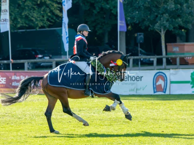 Landesponyturnier Sieger 8