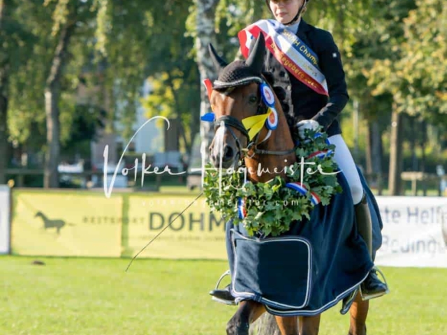 Landesponyturnier Sieger 12